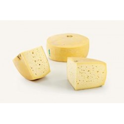 Asiago DOP 14.00 kg. env